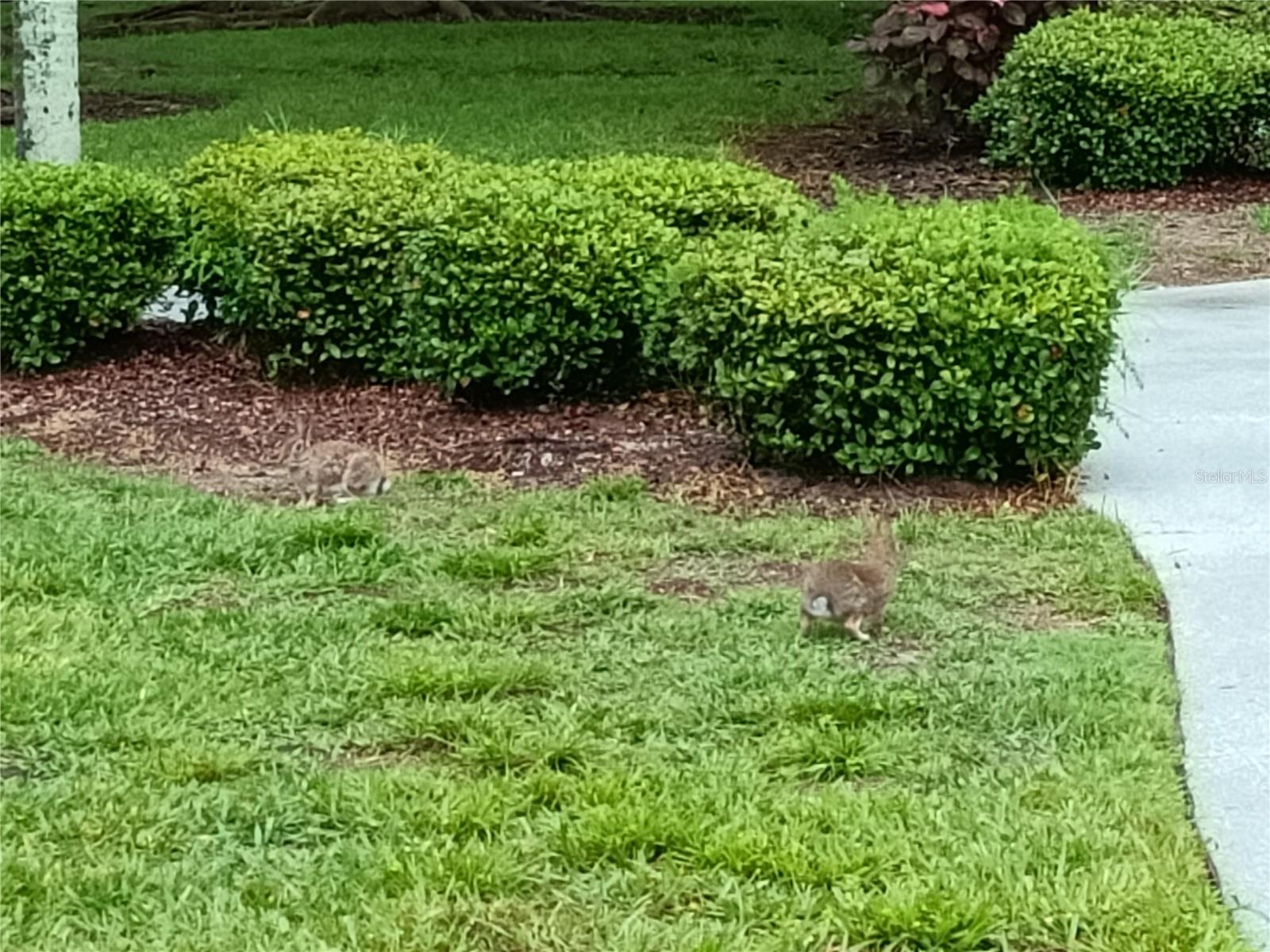 9790 66TH ST N #182 — photo 63