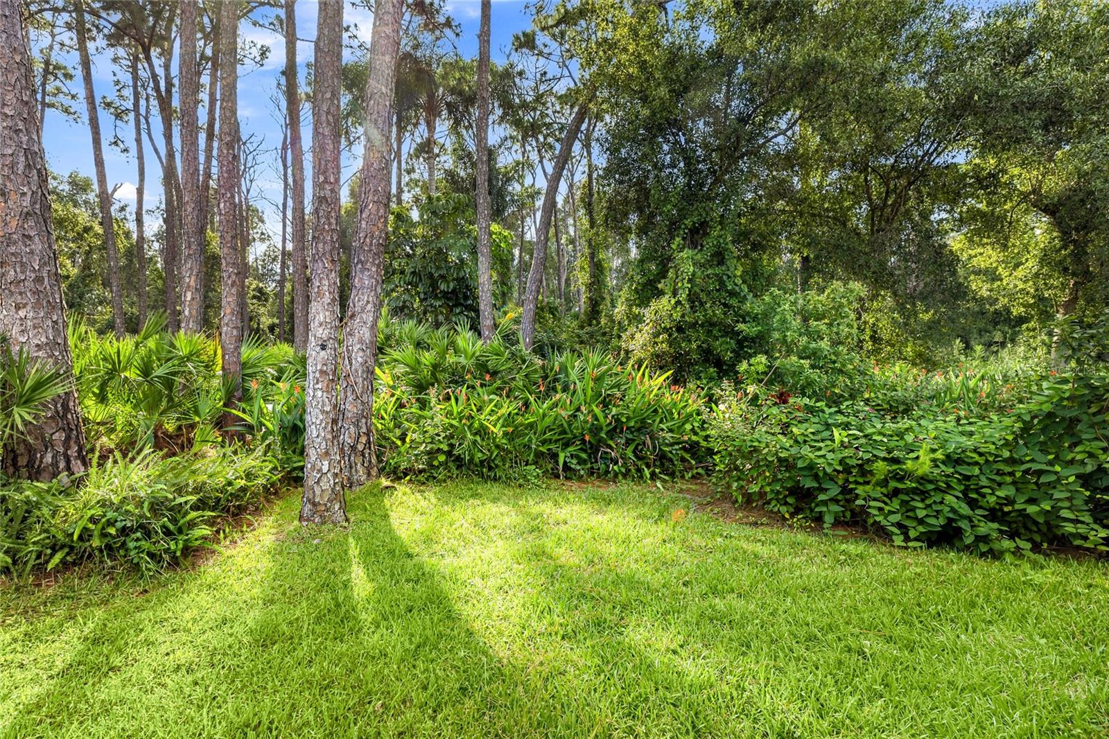 2147 WASATCH DR — photo 31