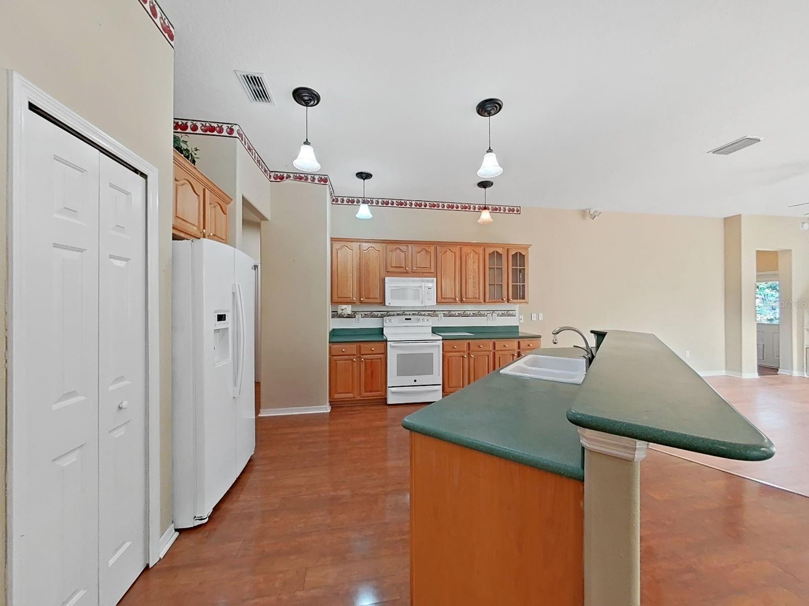 14915 DEVONSHIRE WOODS PL — photo 16