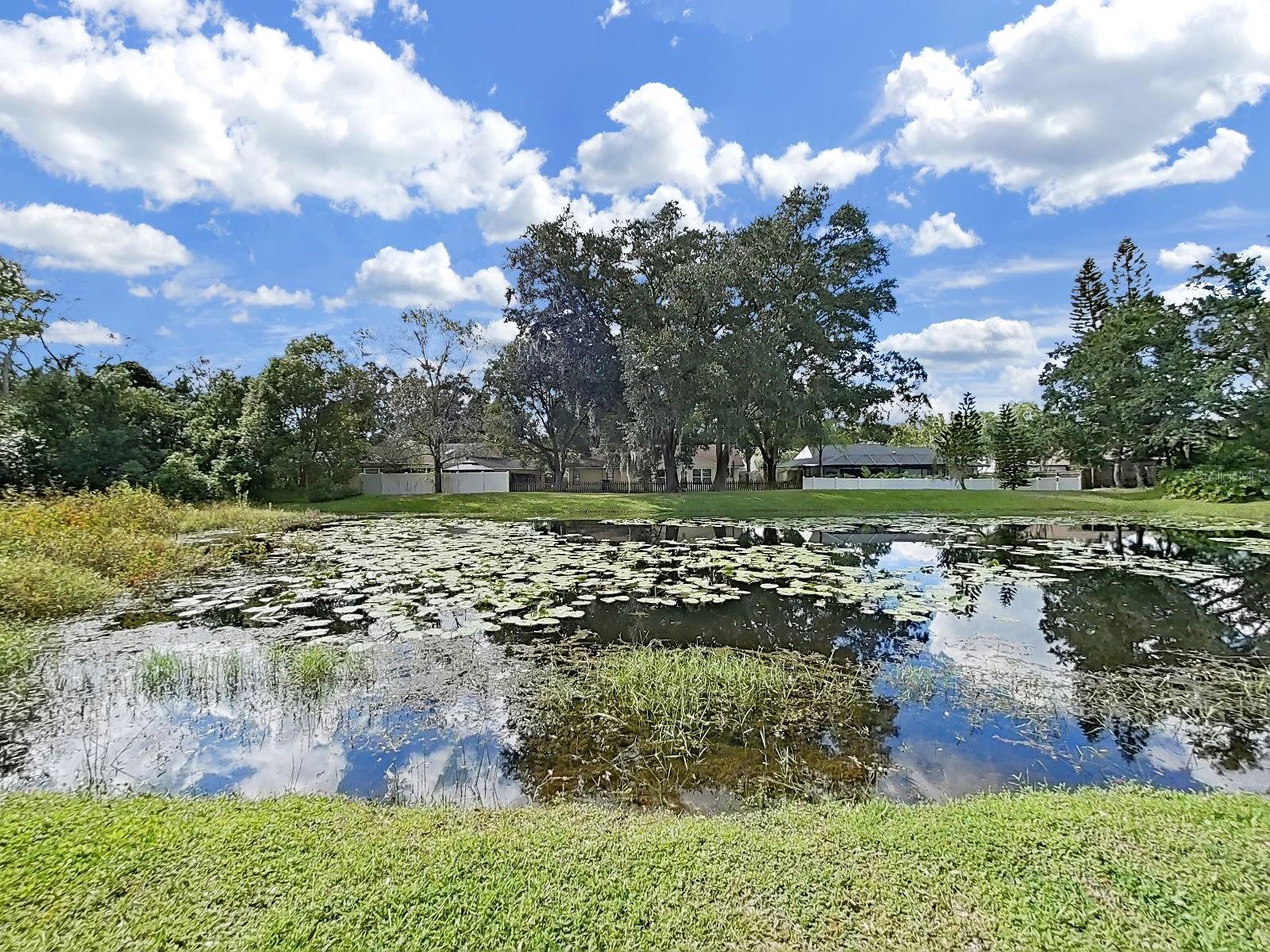 14915 DEVONSHIRE WOODS PL — photo 44