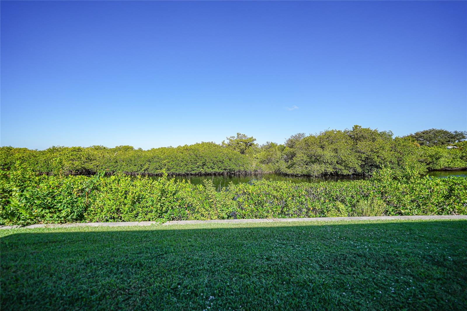 734 BLACKBURN BLVD — photo 54