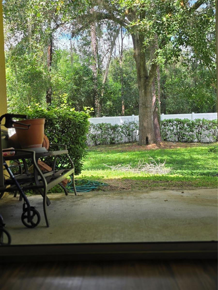 37611 GEORGINA TER — photo 12
