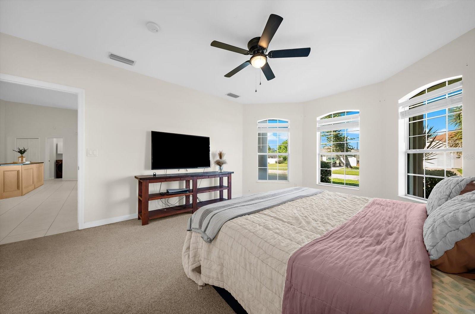 217 SAN CARLOS AVE — photo 38
