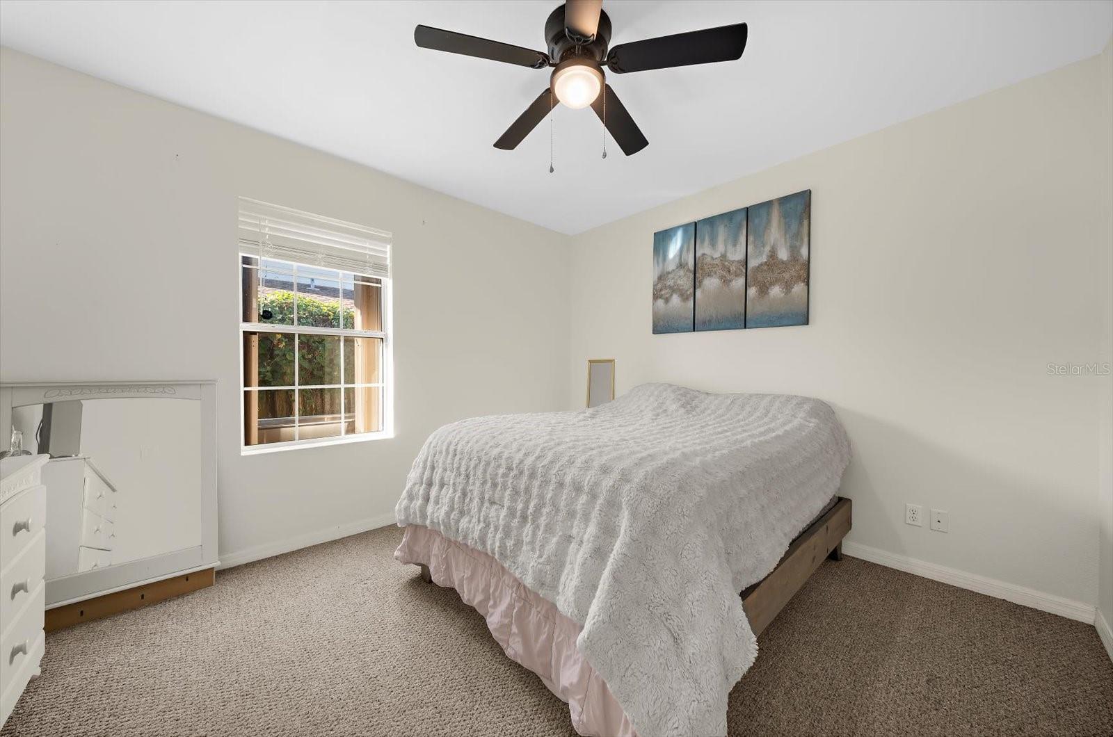 217 SAN CARLOS AVE — photo 19