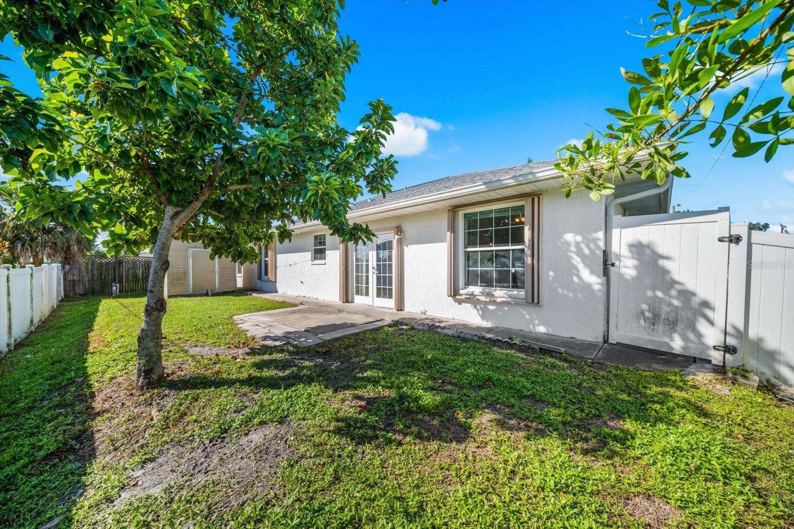 217 SAN CARLOS AVE — photo 45