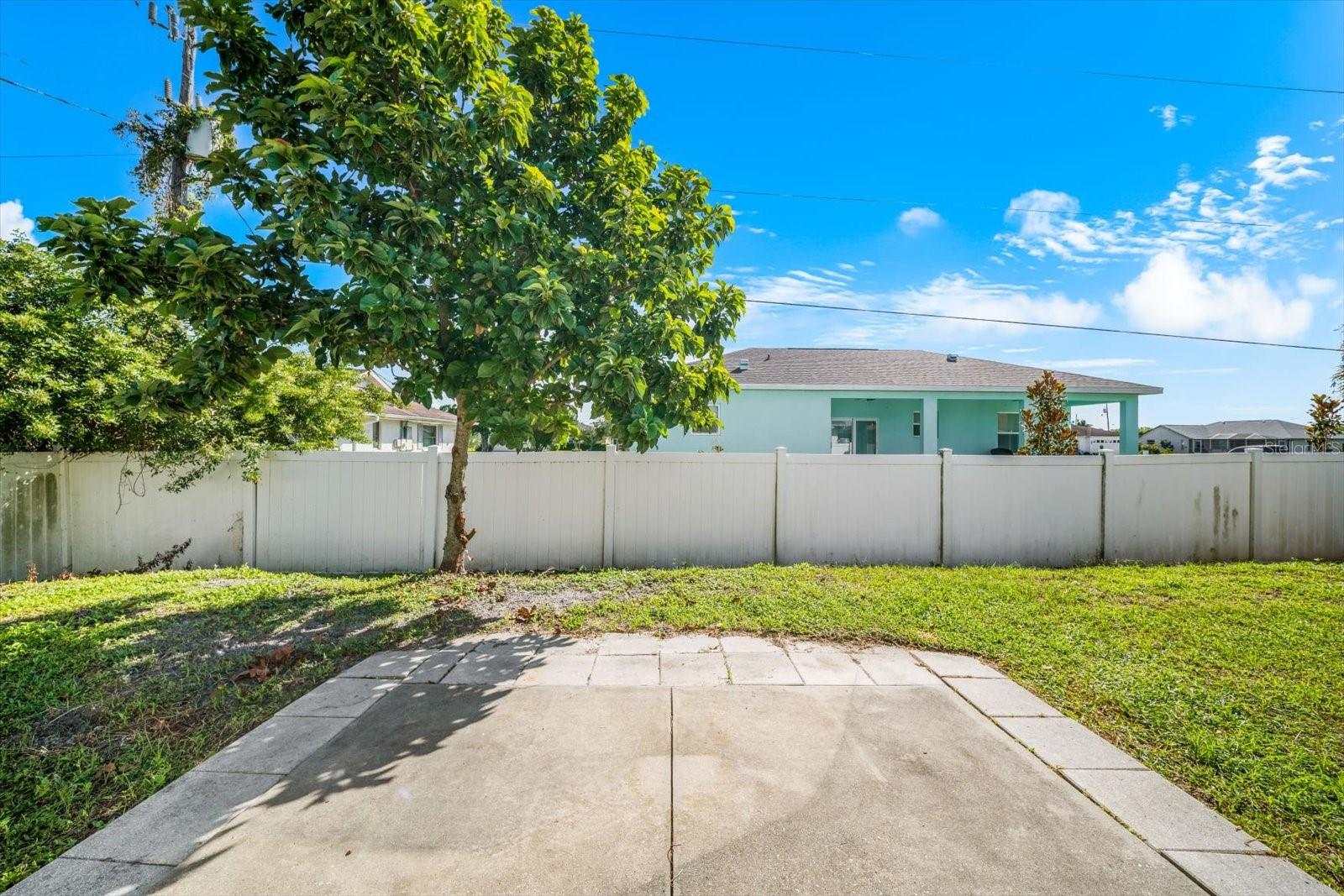 217 SAN CARLOS AVE — photo 49