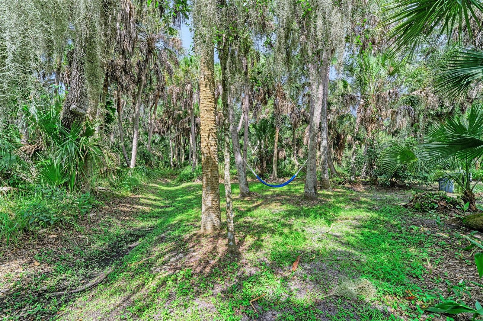 2403 ARBORETUM CIR #29 — photo 46