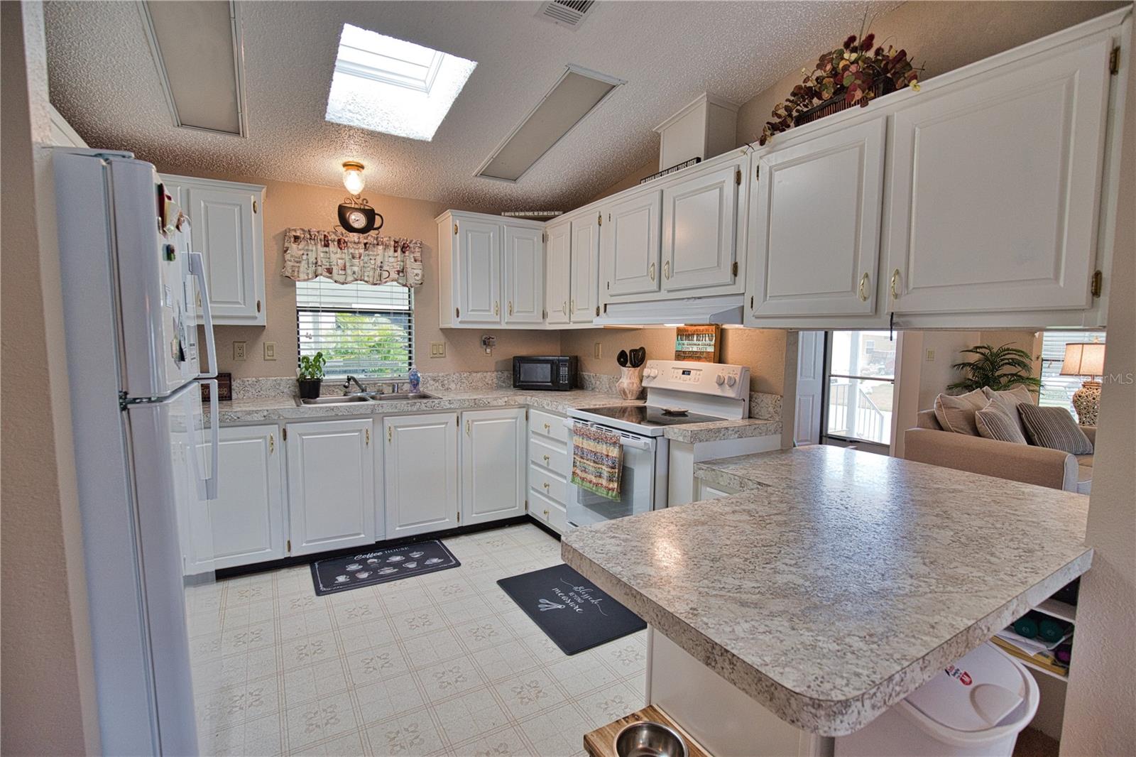 223 HIBISCO DR — photo 4