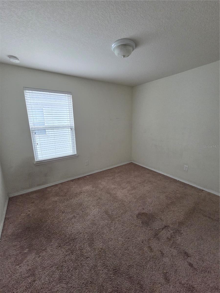 4816 CHATTERTON WAY — photo 7