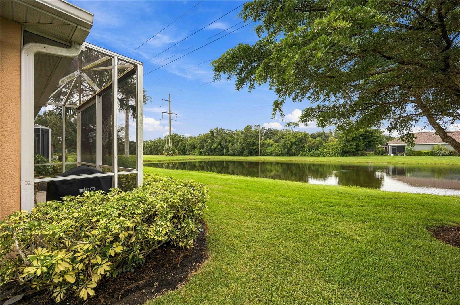 299 CAPULET DR — photo 40