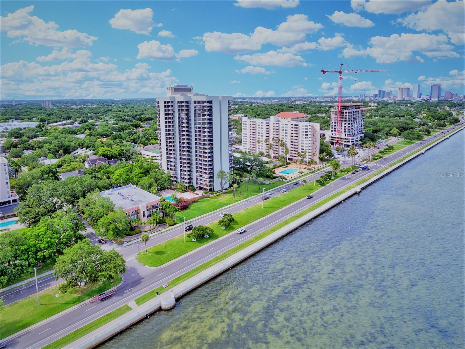 2419 BAYSHORE BLVD #2N — photo 40