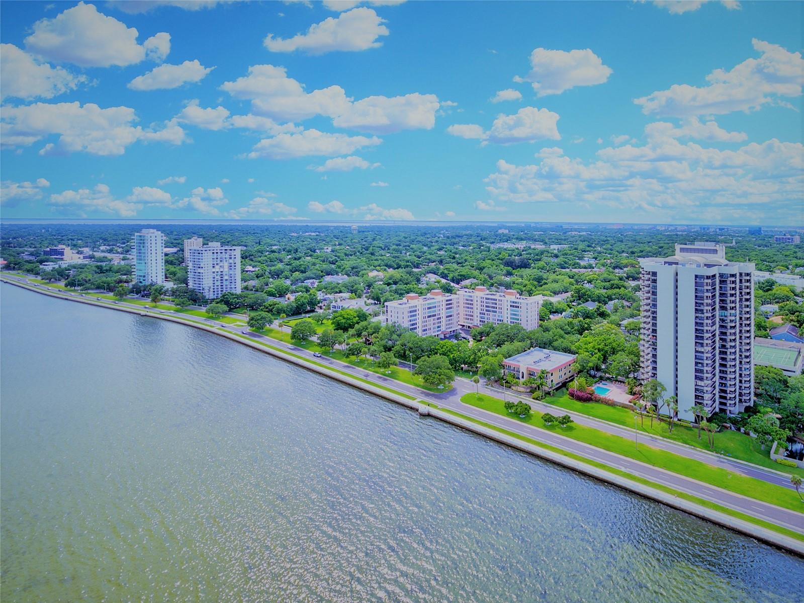 2419 BAYSHORE BLVD #2N — photo 3