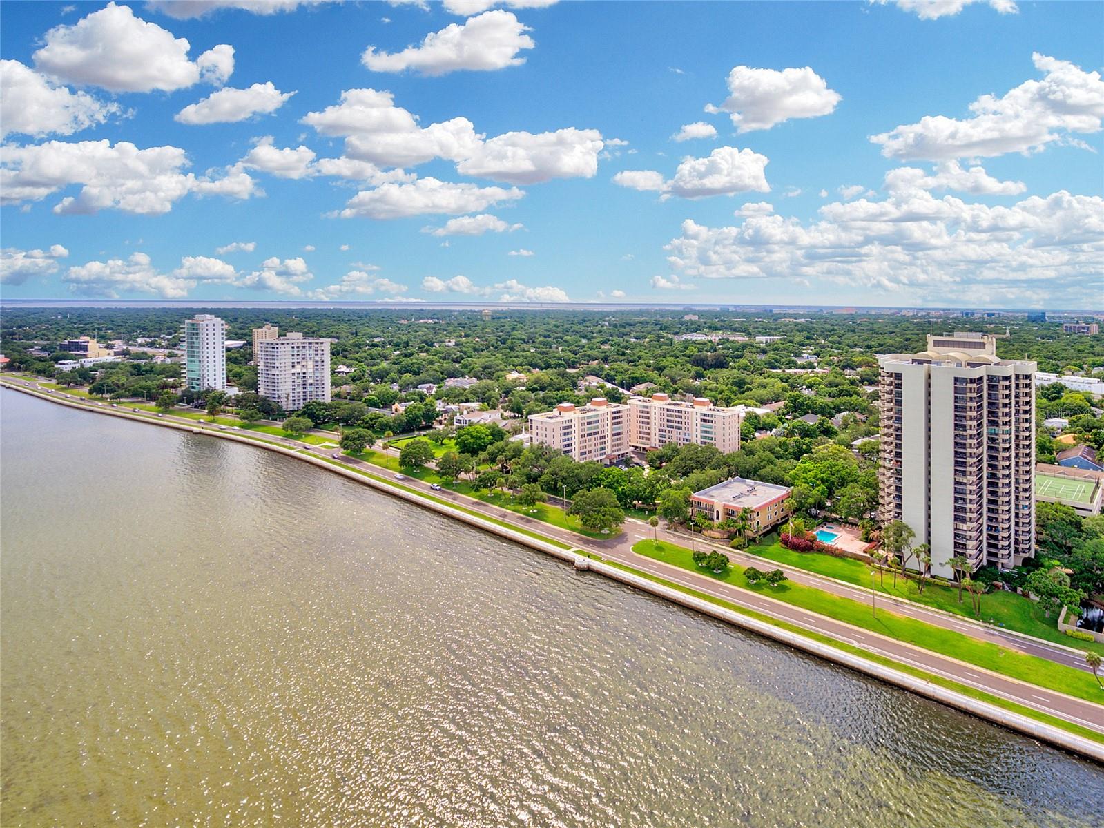 2419 BAYSHORE BLVD #2N — photo 39