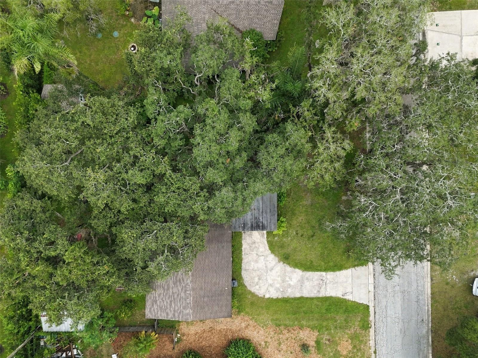 8010 SHARON DR — photo 52