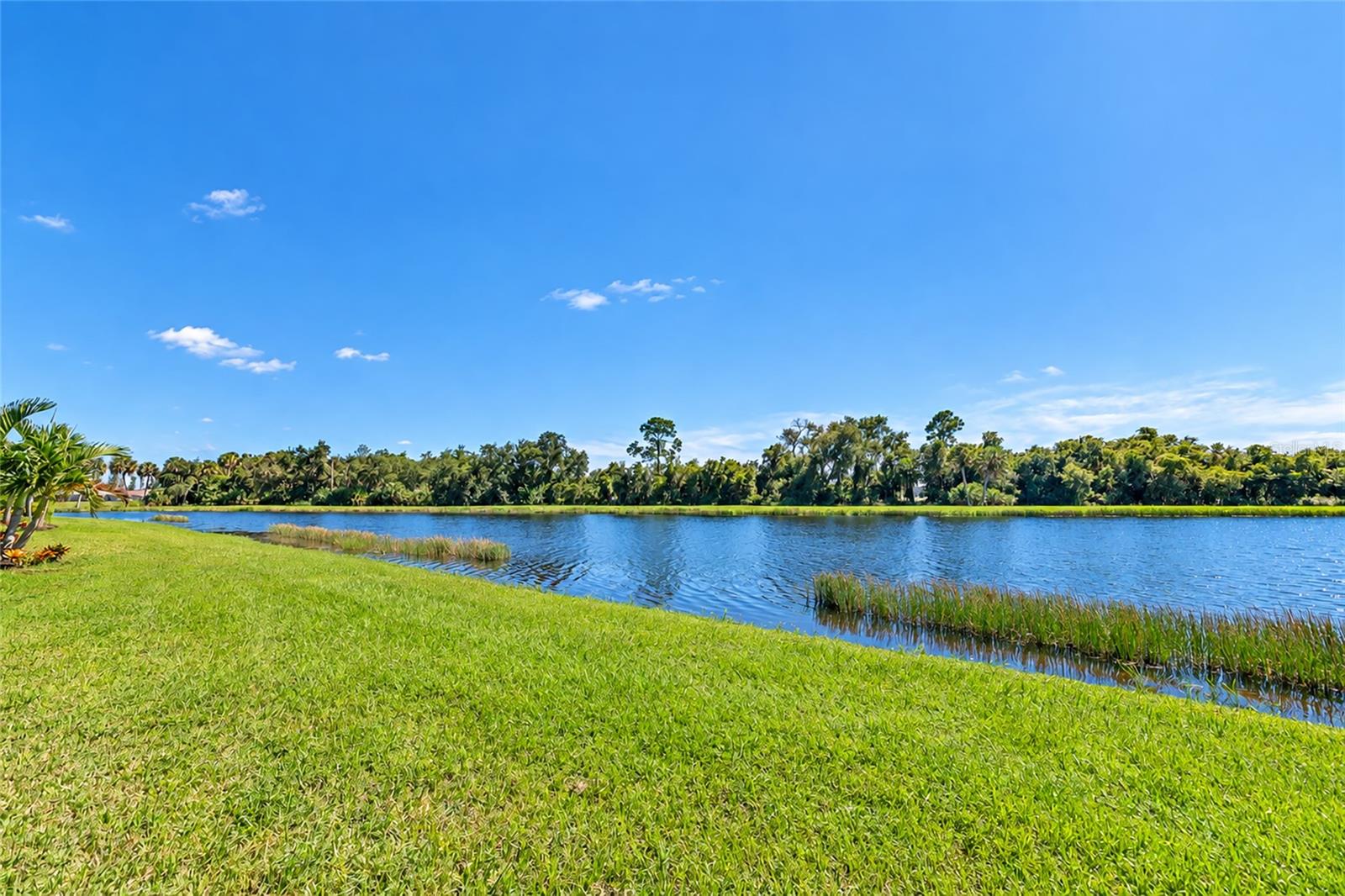 10378 MORNING MIST LN — photo 49