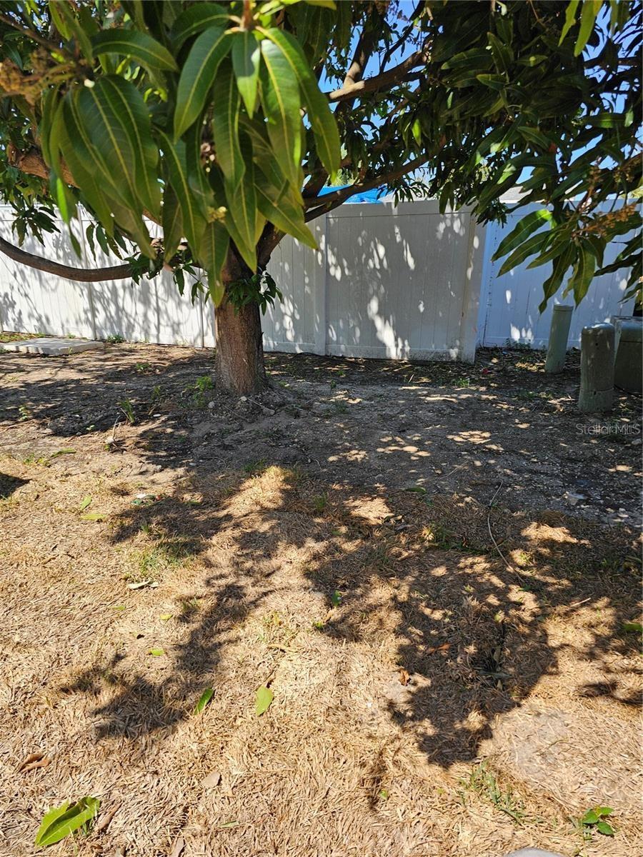 7425 ABALONE DR — photo 2