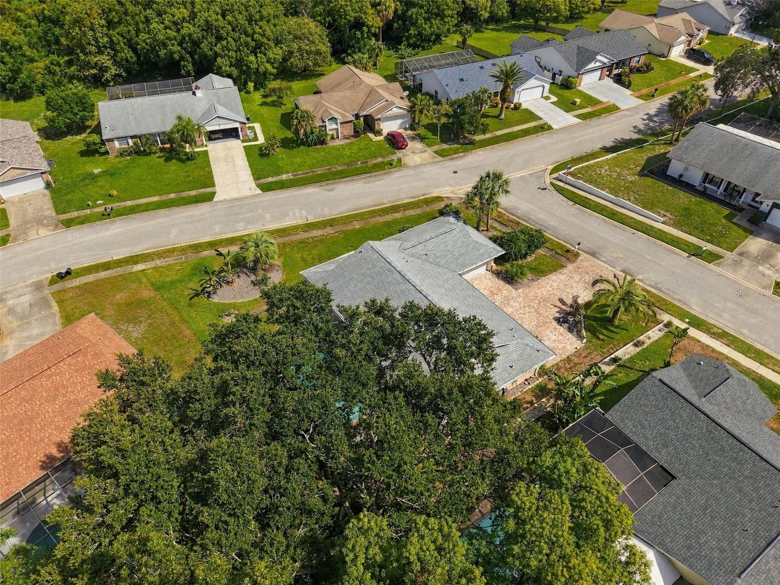 13507 SHADBERRY LN — photo 39