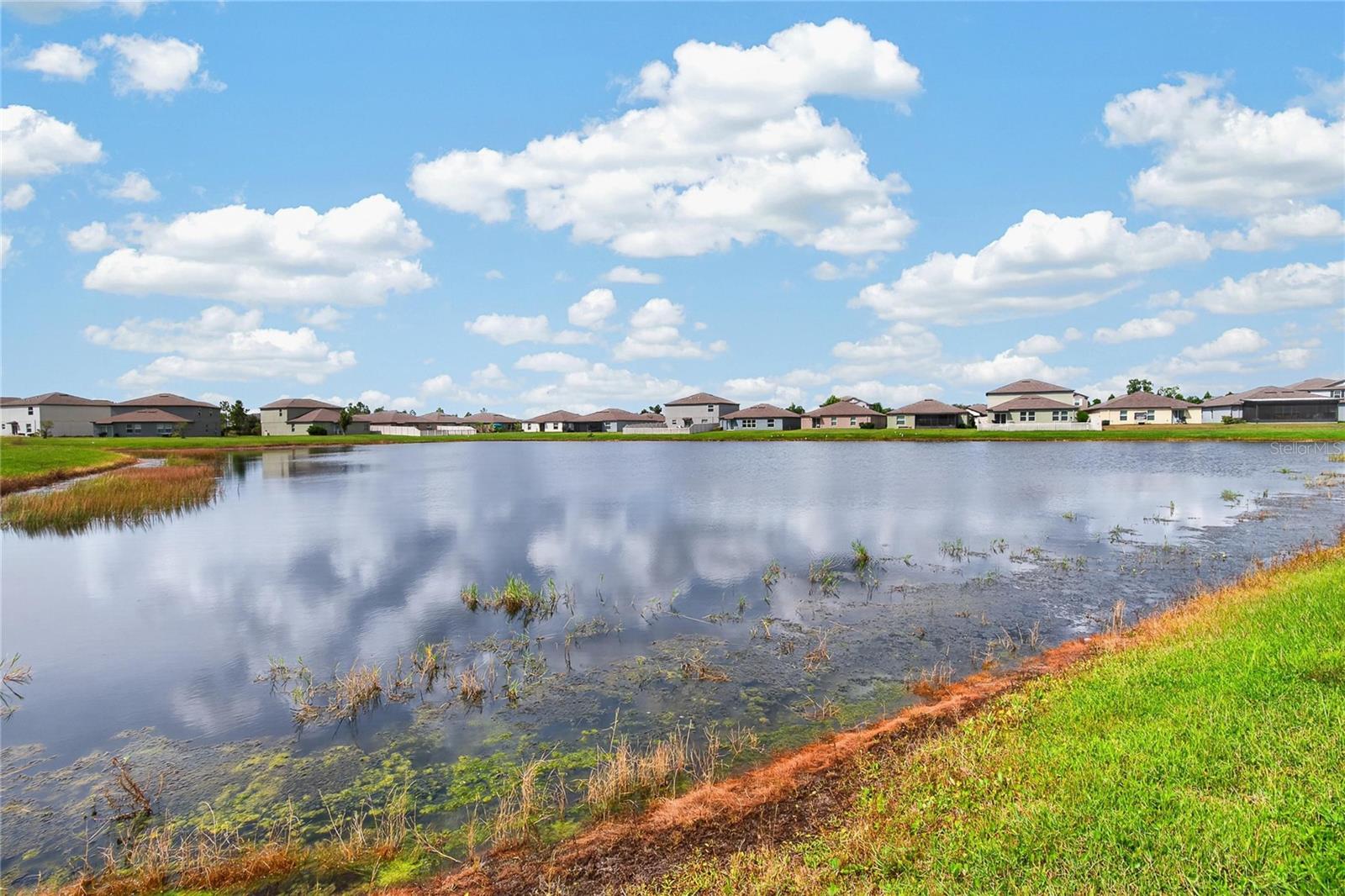 5487 BLUE AZURE DR — photo 50