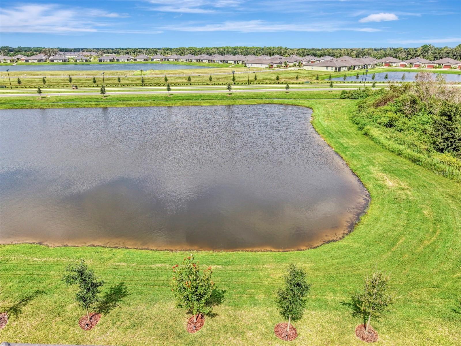 11854 LILAC PEARL LN — photo 70