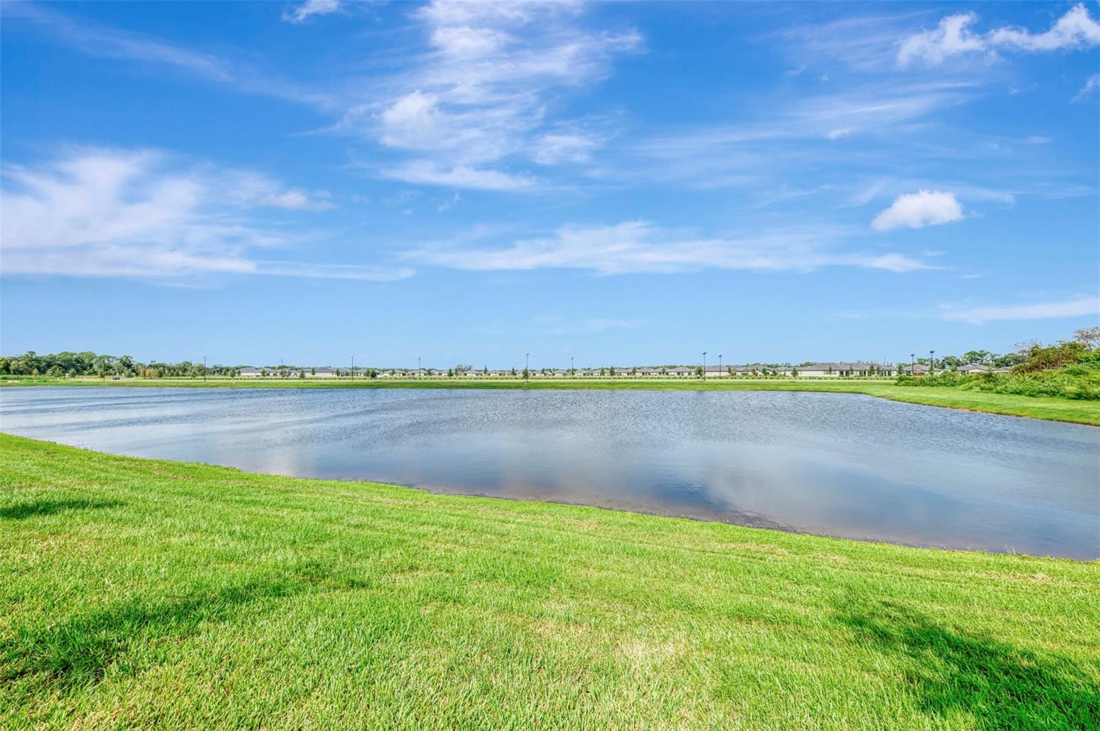 11854 LILAC PEARL LN — photo 60