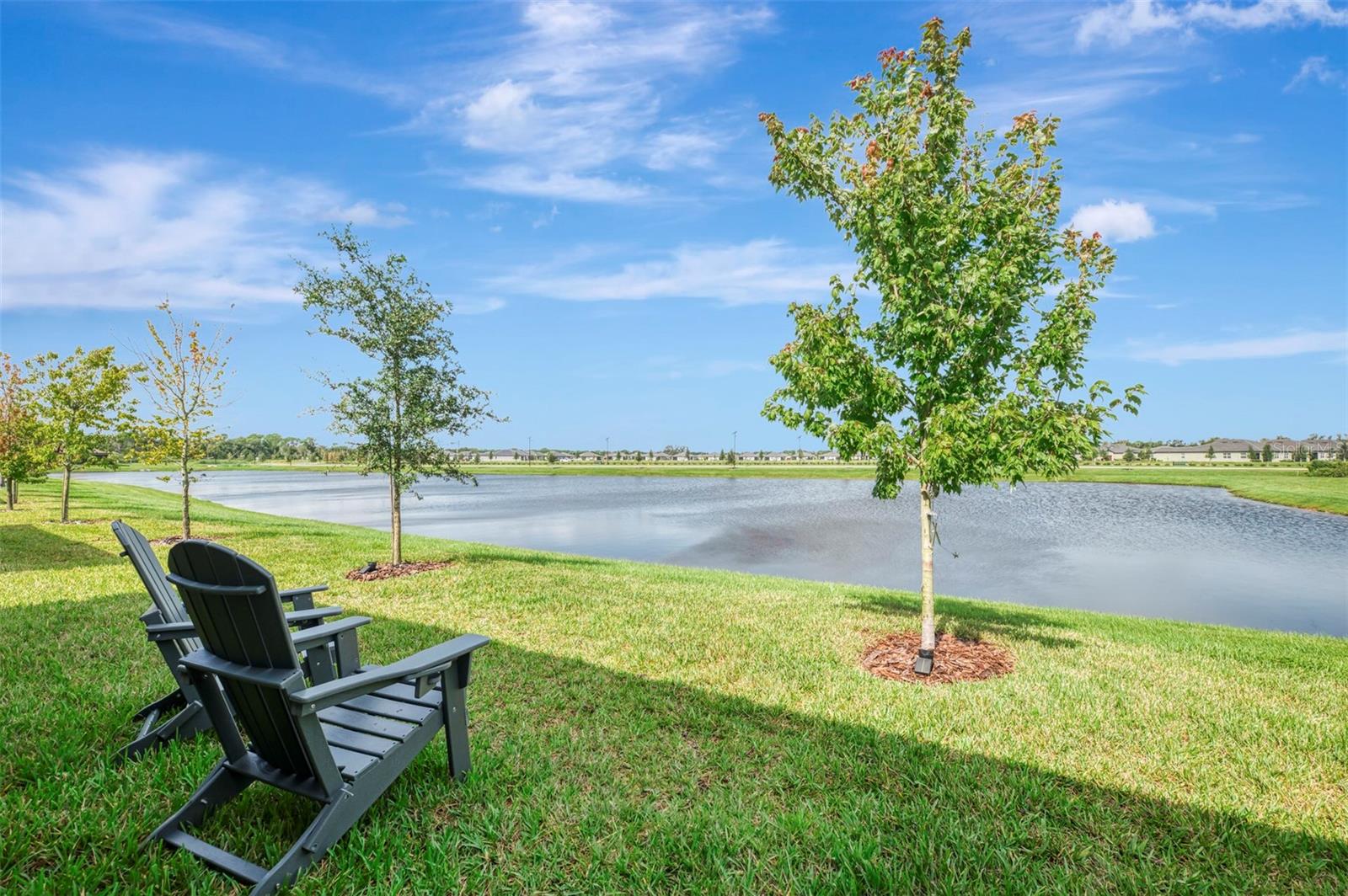 11854 LILAC PEARL LN — photo 58