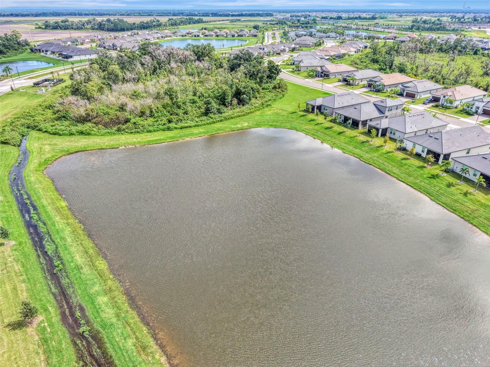 11854 LILAC PEARL LN — photo 65