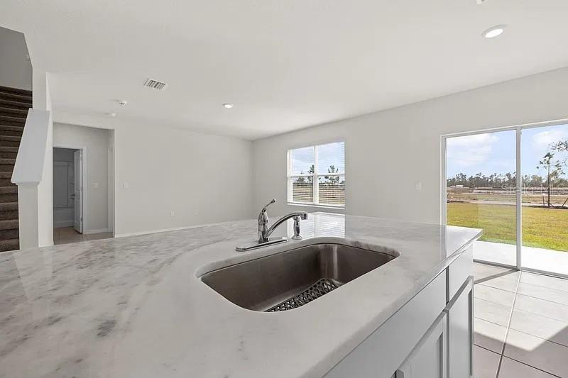 17249 WHEATBERRY BLVD — photo 10
