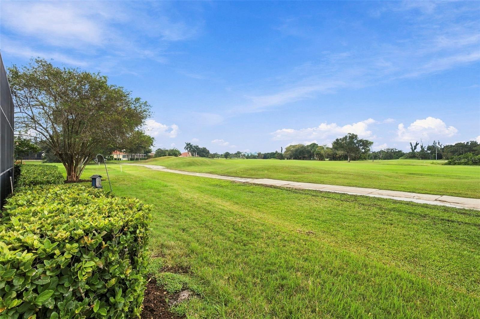 9925 SAGO POINT DR — photo 50