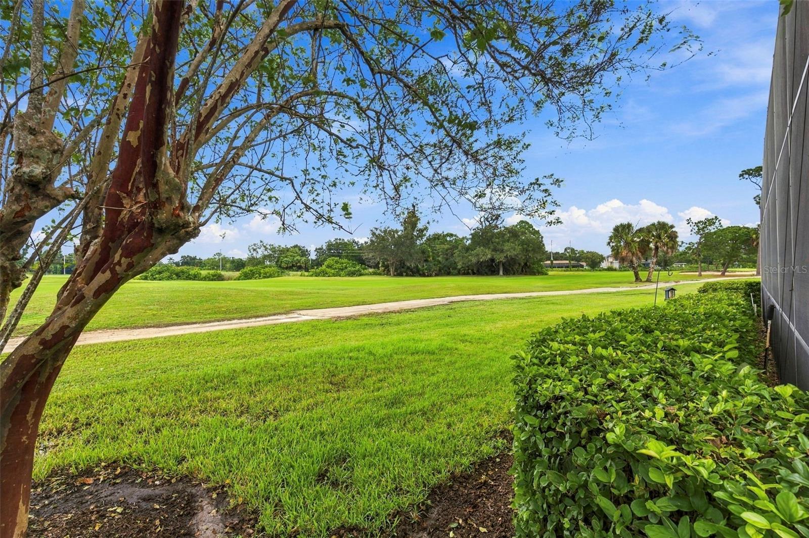 9925 SAGO POINT DR — photo 51