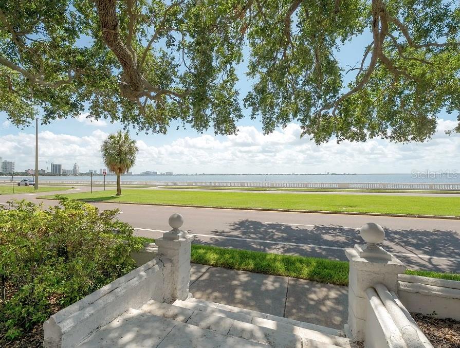 3325 BAYSHORE BLVD #F31 — photo 4