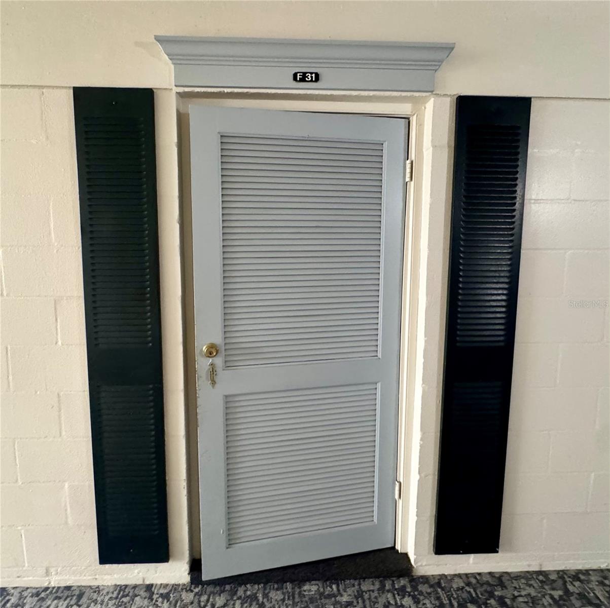 3325 BAYSHORE BLVD #F31 — photo 6