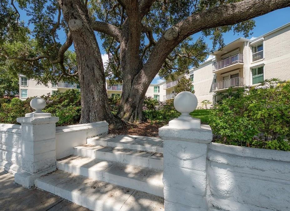 3325 BAYSHORE BLVD #F31 — photo 26