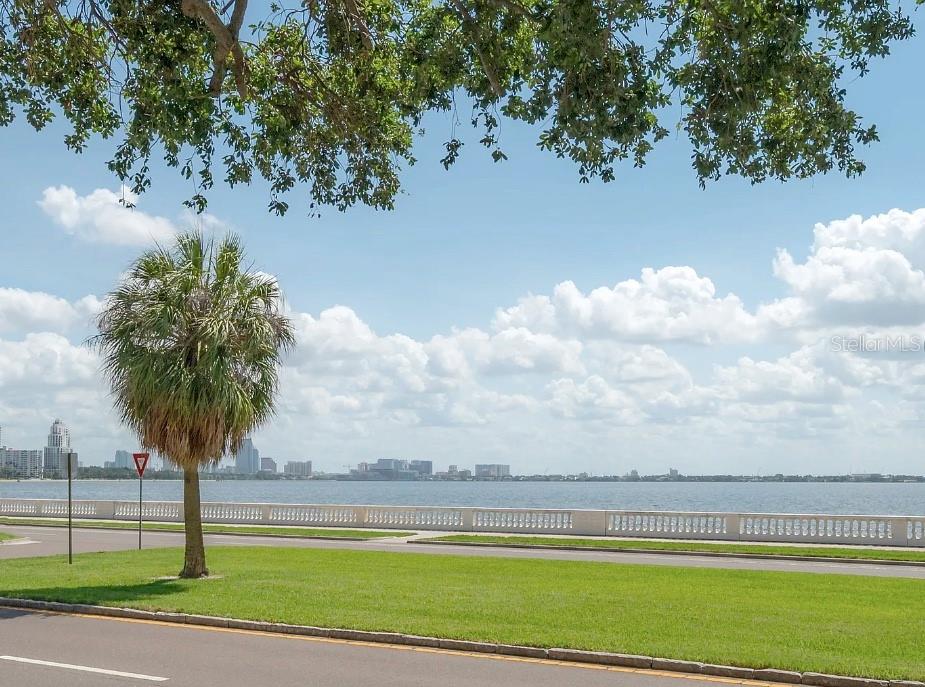 3325 BAYSHORE BLVD #F31 — photo 2