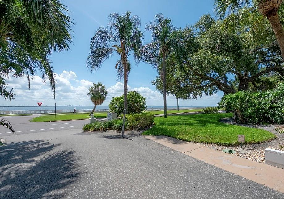 3325 BAYSHORE BLVD #F31 — photo 25