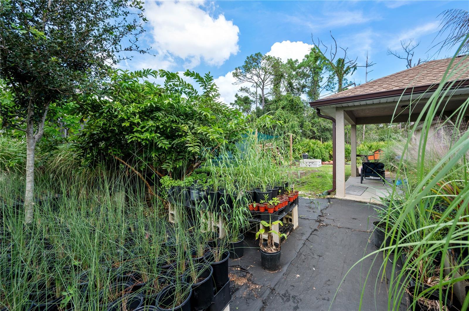 3329 EAGLE PASS ST — photo 48
