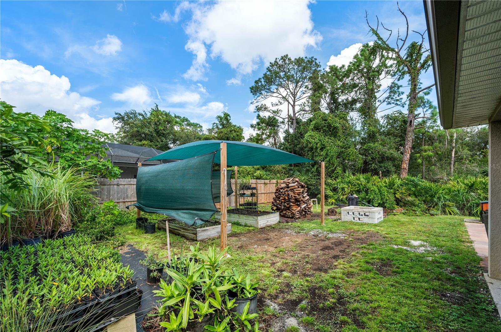 3329 EAGLE PASS ST — photo 47