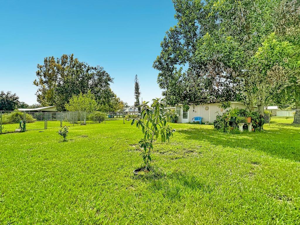 3569 PITTMAN RD — photo 96