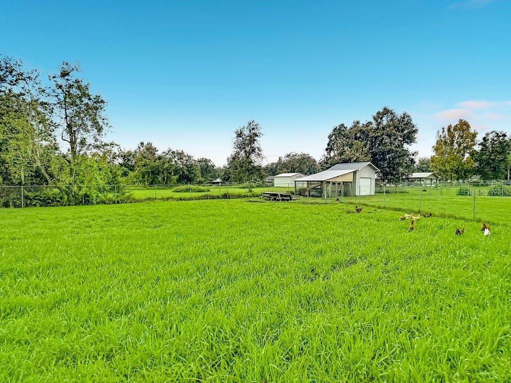 3569 PITTMAN RD — photo 100