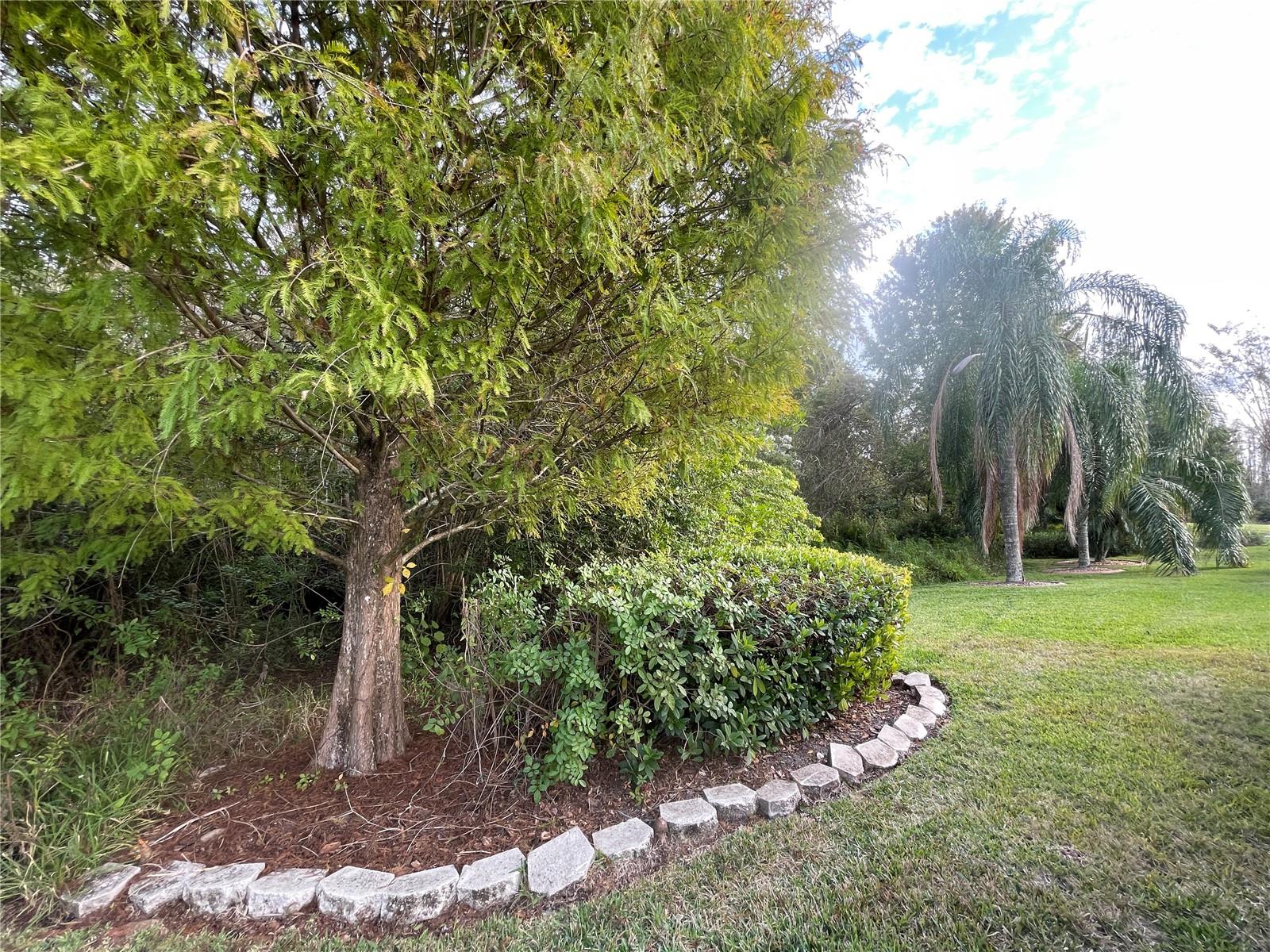 30153 BARNABY LN — photo 34