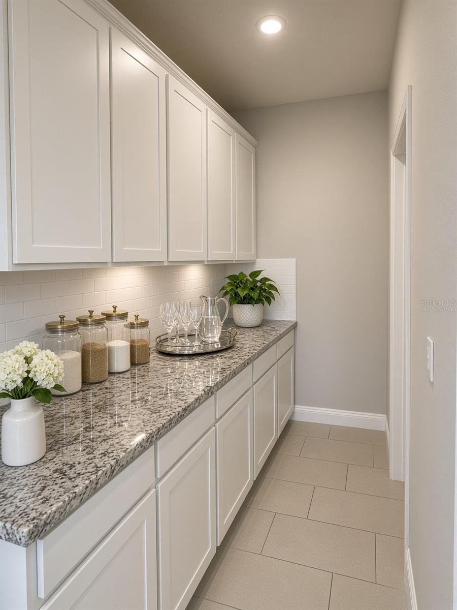 140 BRIGHT IBIS AVE — photo 12