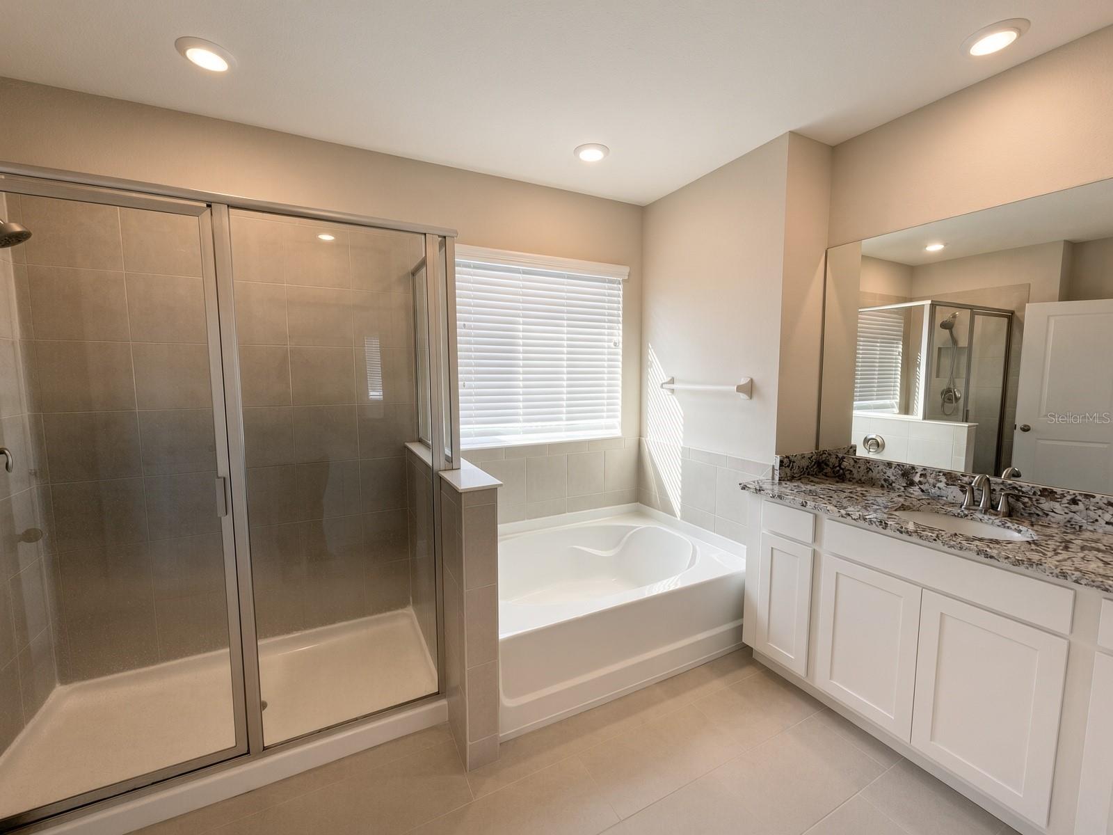 140 BRIGHT IBIS AVE — photo 27