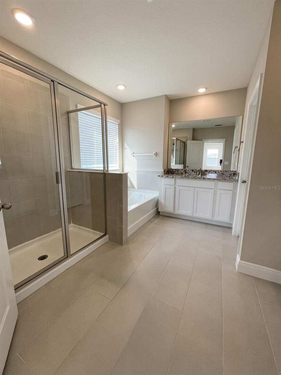 140 BRIGHT IBIS AVE — photo 28
