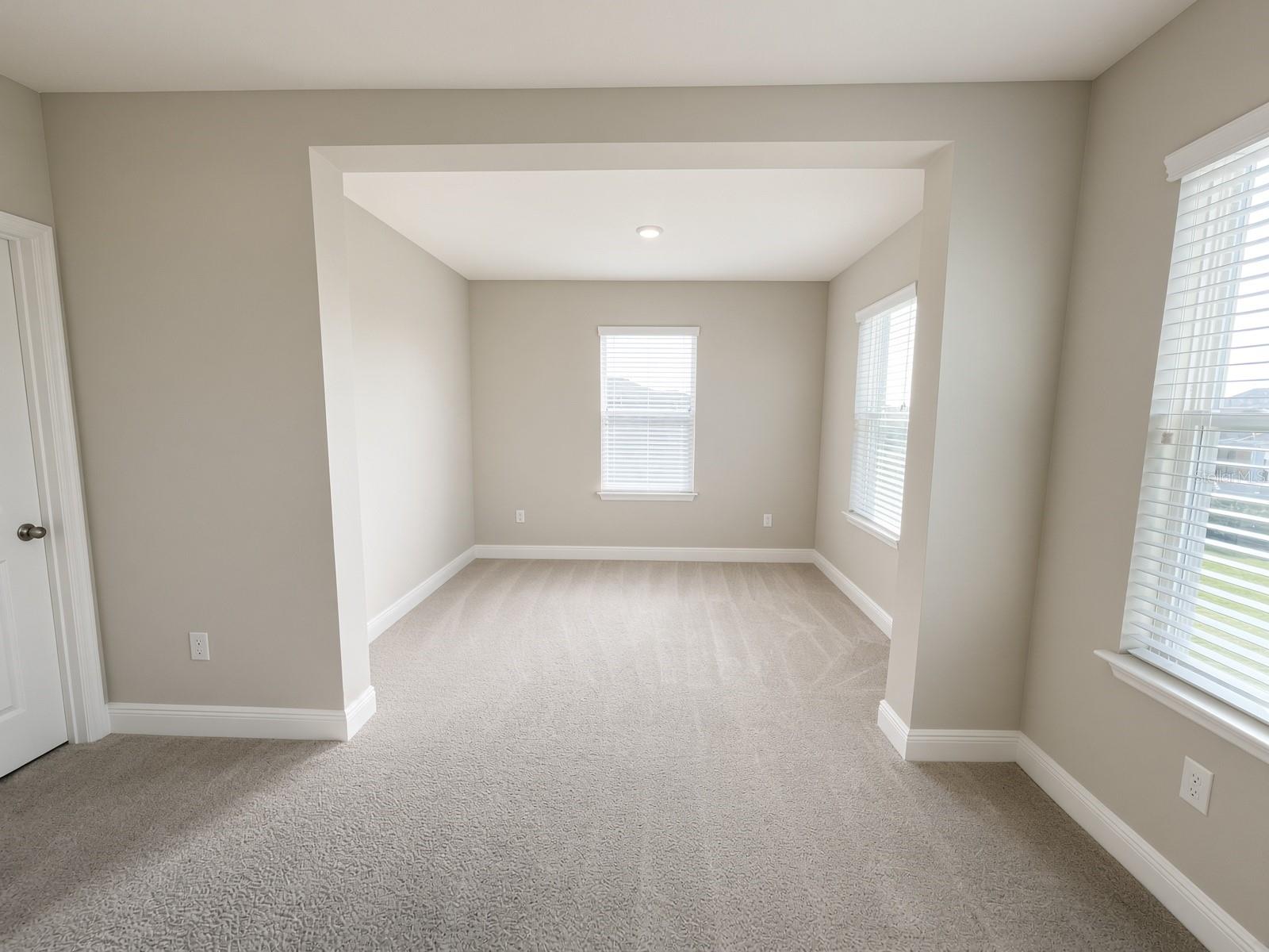 140 BRIGHT IBIS AVE — photo 25