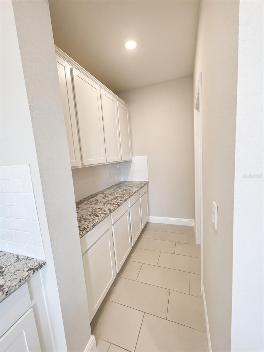 140 BRIGHT IBIS AVE — photo 13