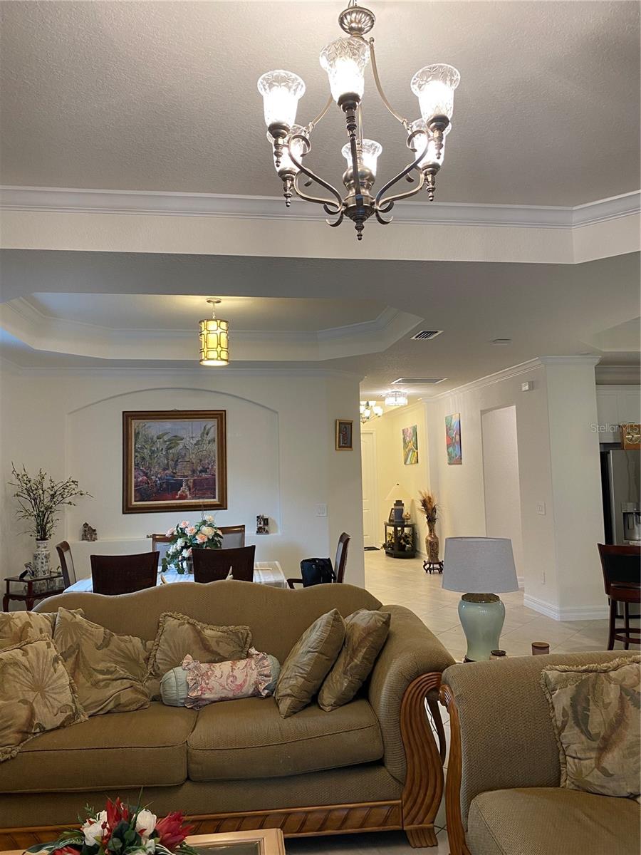 12438 TERRACOTTA DR — photo 5