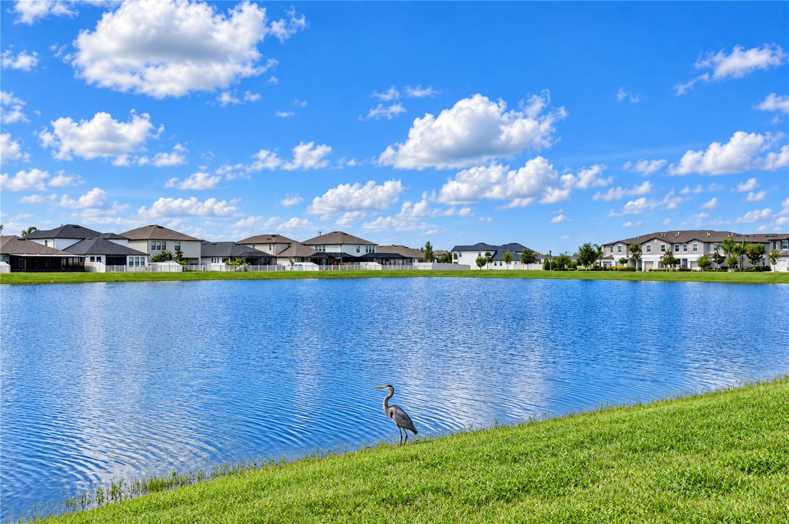 2741 YELLOWHAMMER WAY — photo 63