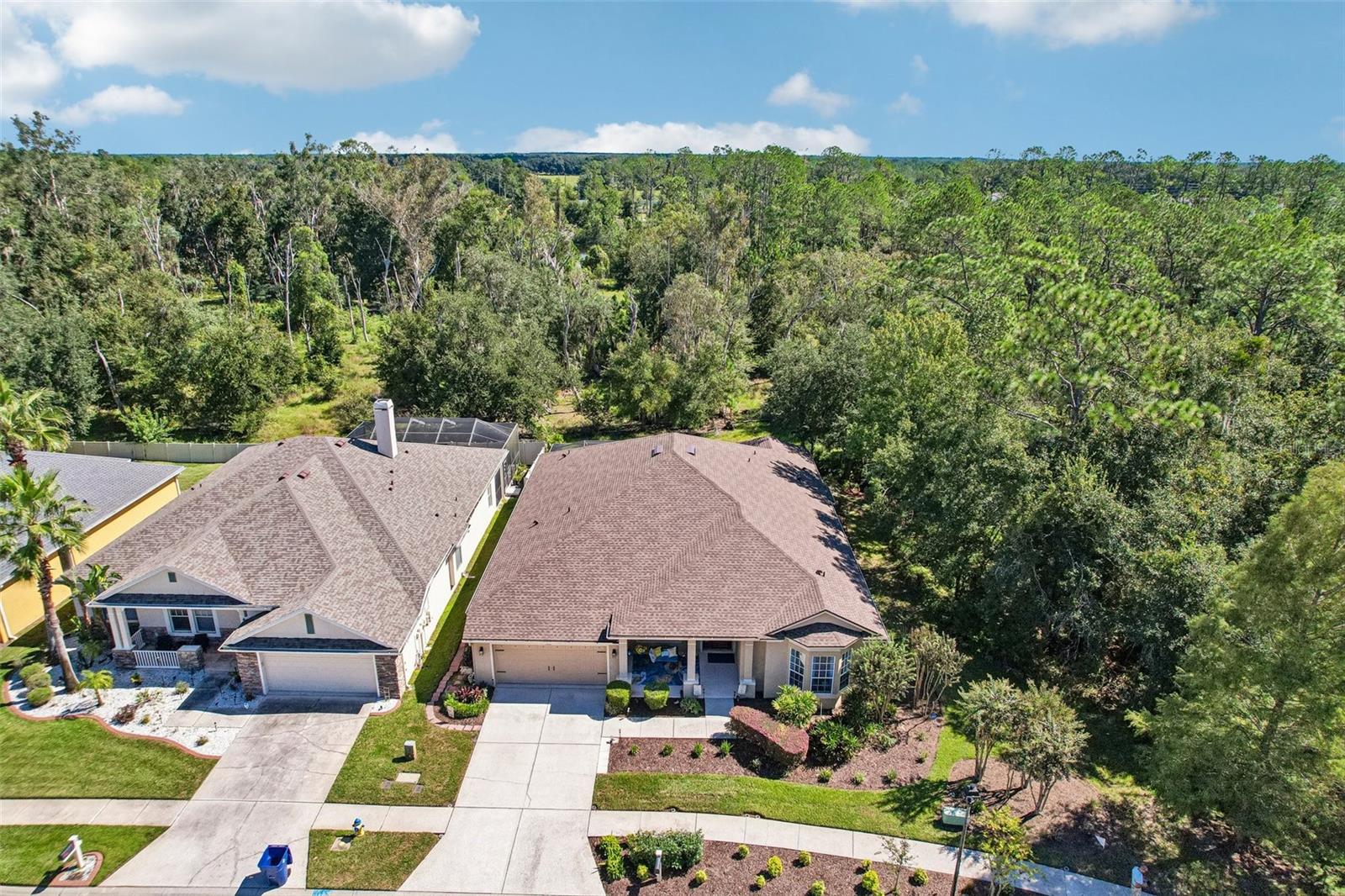 7404 AMBLESIDE DR — photo 50
