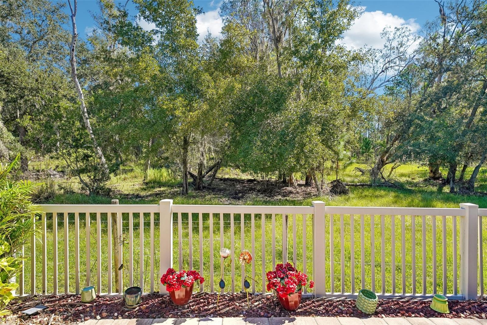 7404 AMBLESIDE DR — photo 31