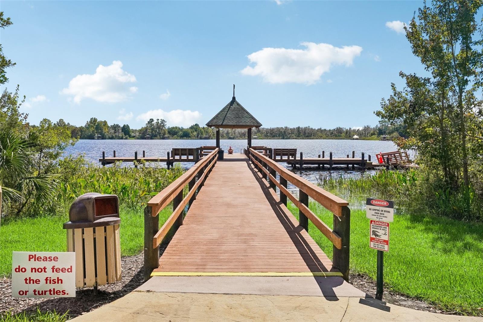 7404 AMBLESIDE DR — photo 49