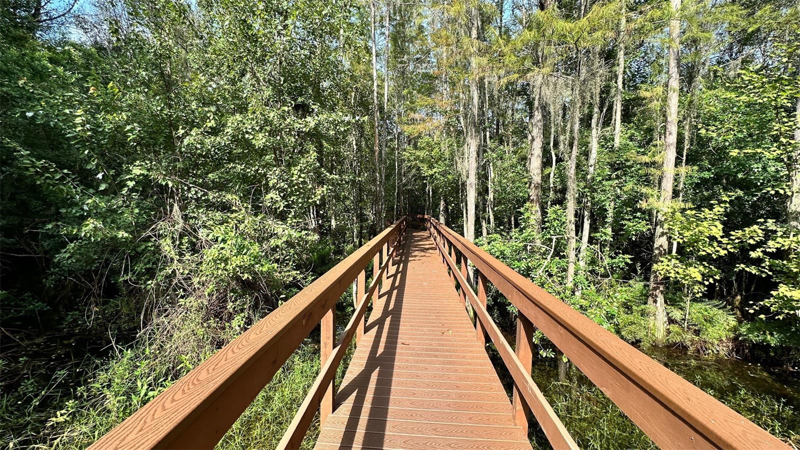 5727 GOLDEN OWL LOOP — photo 30